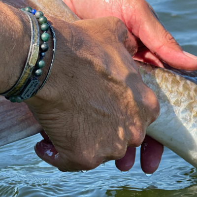 Tarpon + Agate Beads – Sight Line Provisions
