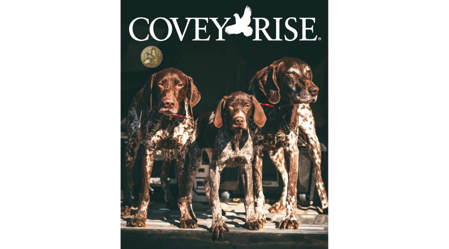 Covey Rise || Luck, Love and Introspection – Sight Line Provisions